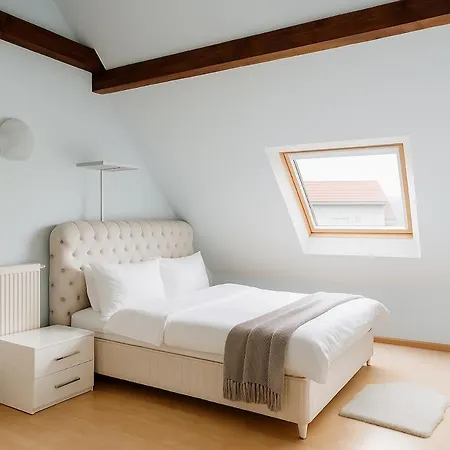Cosy Entire House Near Basel & Mulhouse Airport - Vip Homes - Parking Hébergement de vacances